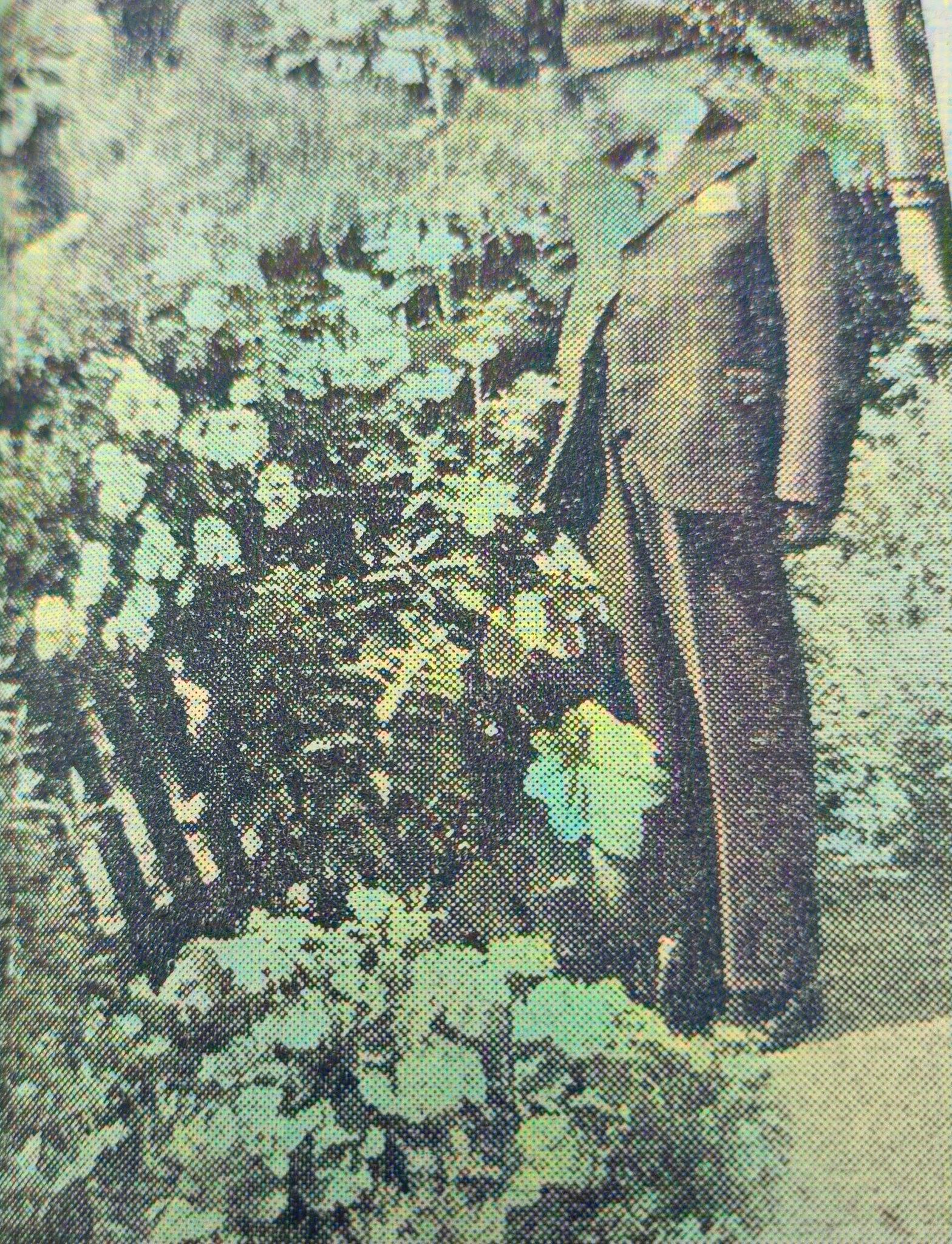 srsgarden