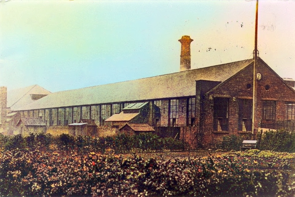 bullfield