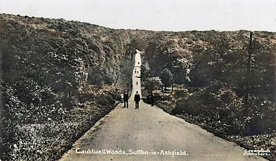 cauldwell00a