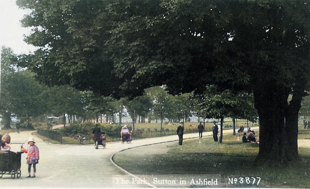 lawnpark4a