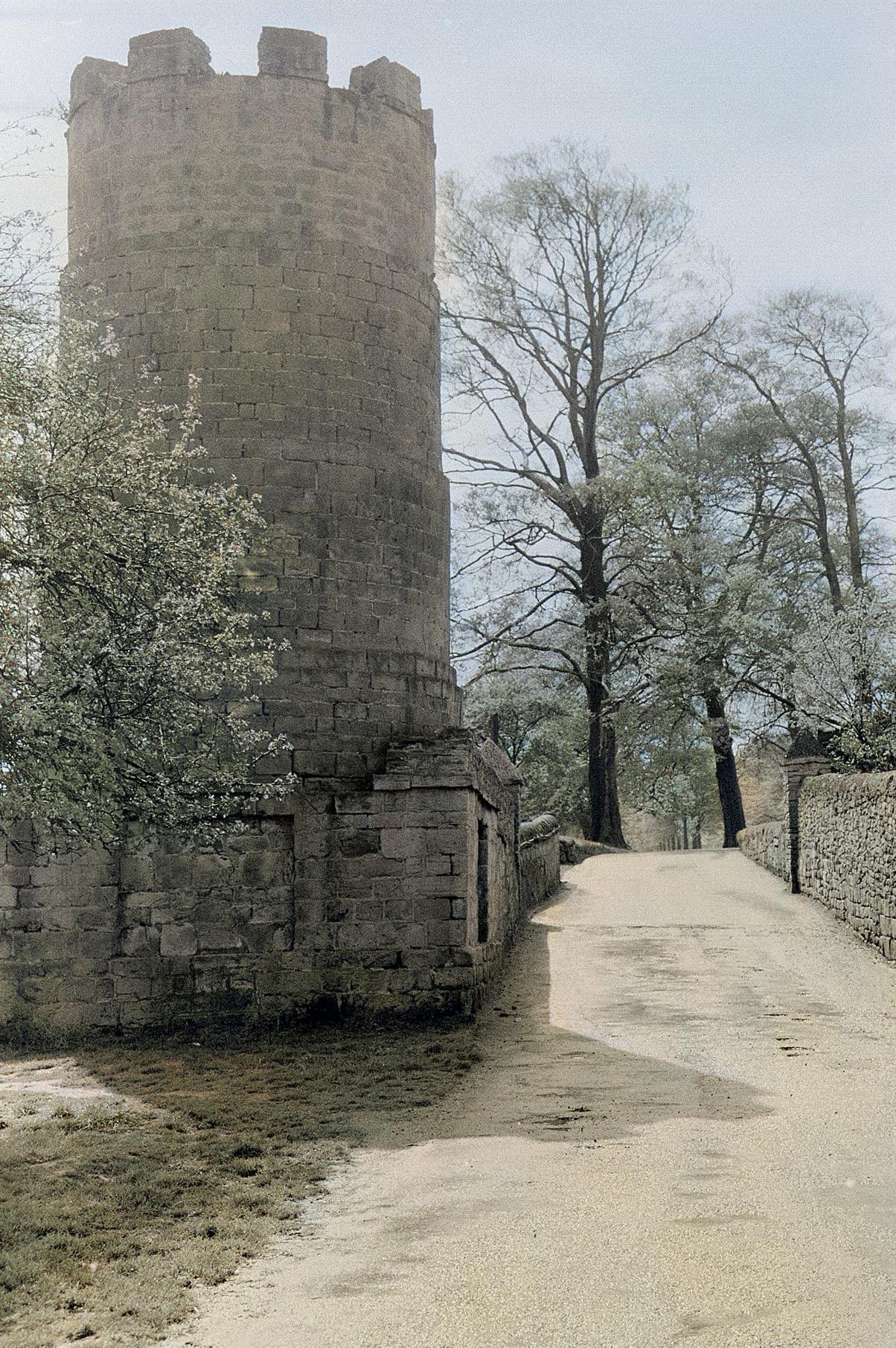 lawntower2a