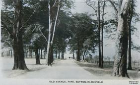 oldave1921a