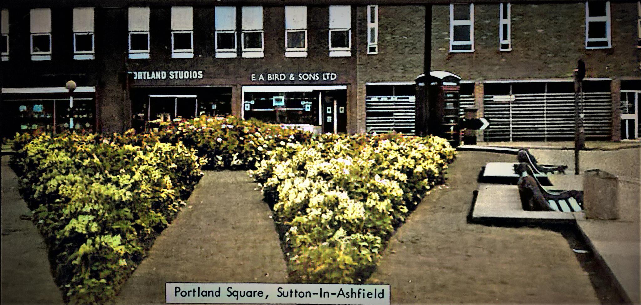 portlandsq3