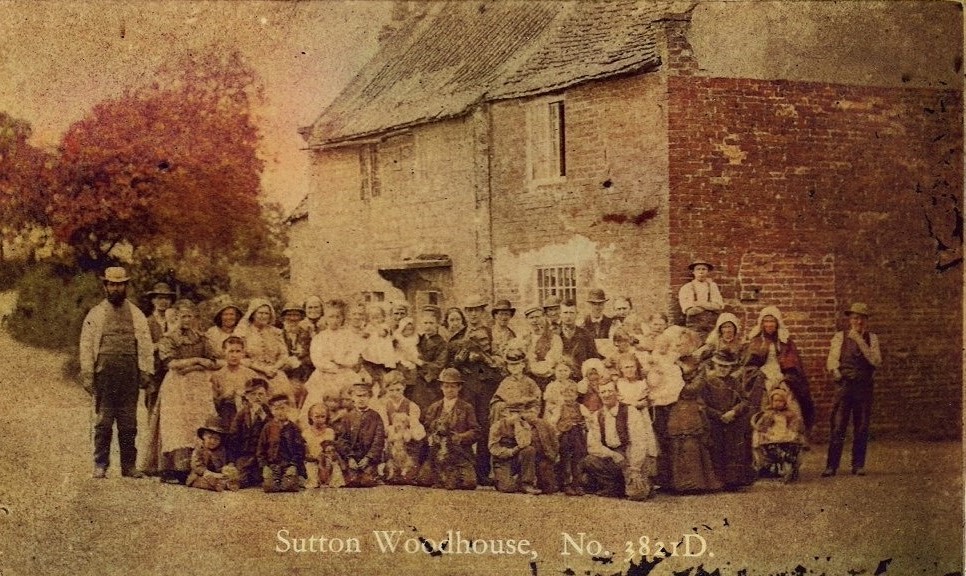 suttonwood