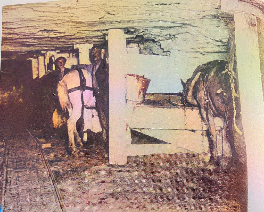 tevponys