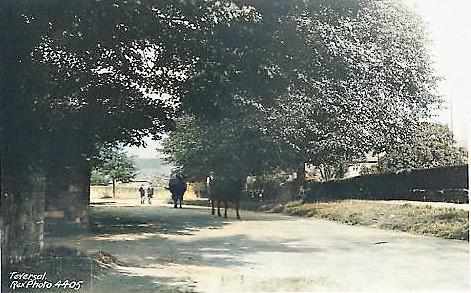 village3a